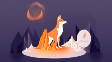 Wie funktioniert der SHIB-Token-Brennmechanismus?
