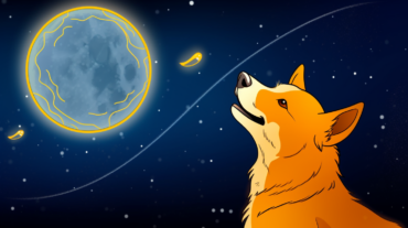 Wird Dogecoin einen Anstieg von 150% erleben? Wichtige Dogecoin-Preisniveaus im Auge behalten