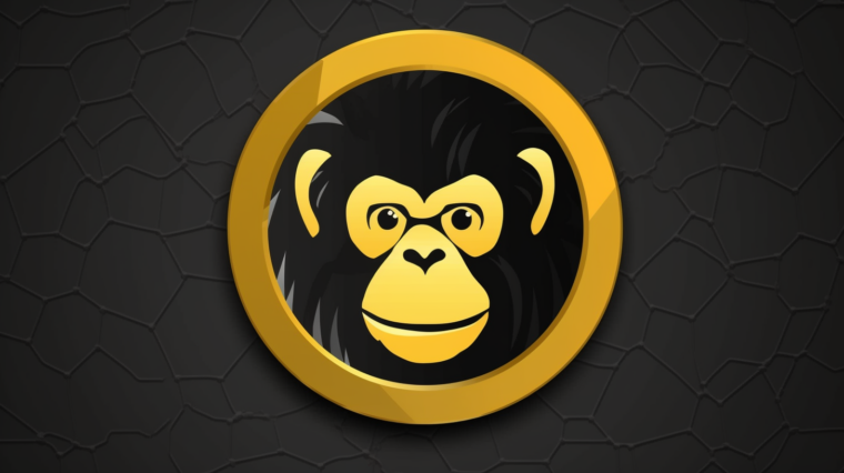 Hvad Holder Fremtiden for ApeCoin Priser?