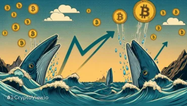 Hva Betyr Den Nylige Oppgangen i Bitcoin-Transaksjoner Over $100 000?