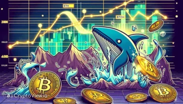 هل تجذب جولة بيع KLXO المستثمرين الكبار؟