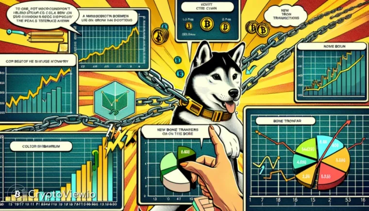 Shibarium : une activité croissante ?