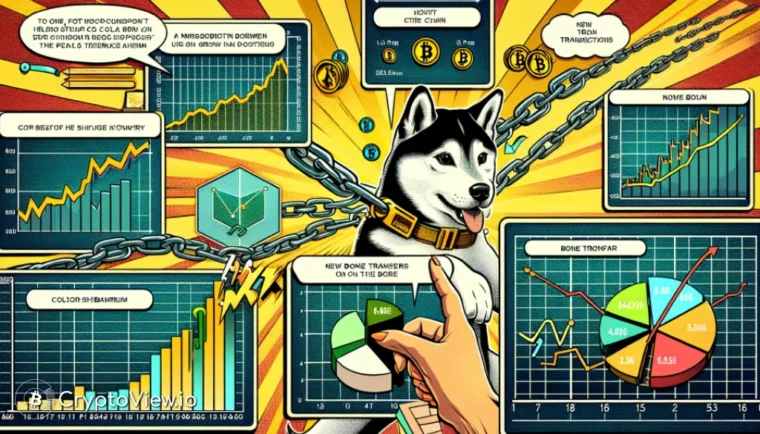 Sta Shibarium Vedendo un'Aumentata Attività?