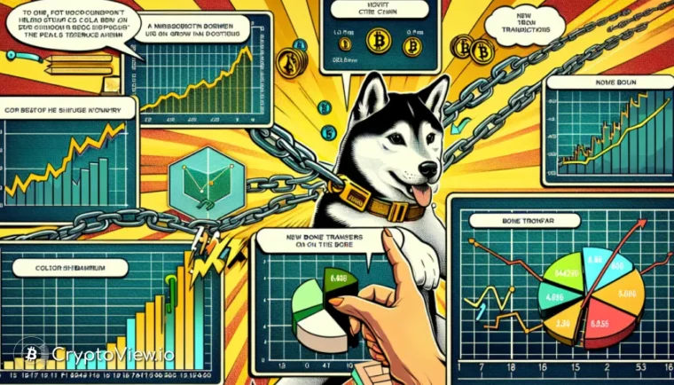 Ziet Shibarium een toename in activiteit?