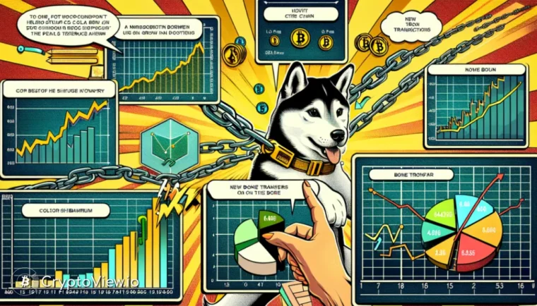 Видит ли Shibarium увеличение активности?