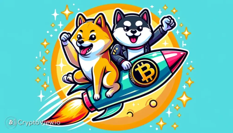 Viser Meme Coins Bullish Tegn?