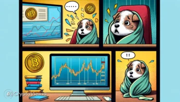 O Bitcoin atingiu seu pico?