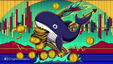 Qu'est-ce qui a motivé la gigantesque transaction Dogecoin ?