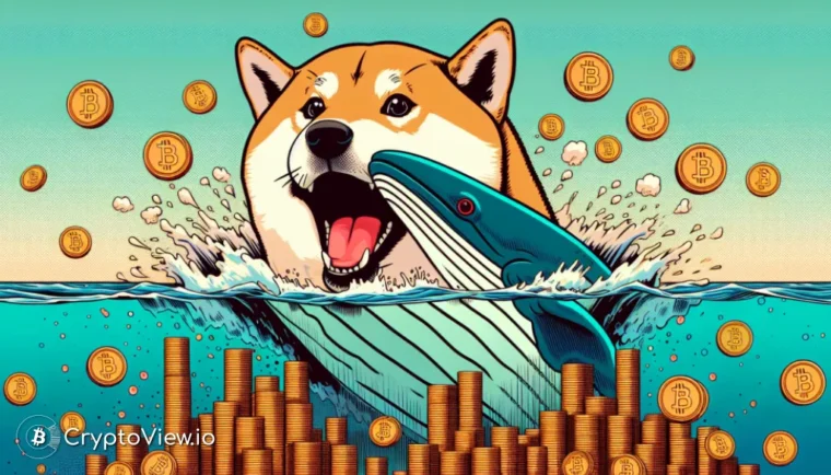 Er SHIB klar for et prishopp?