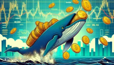 L'activité des baleines Shiba Inu entraîne-t-elle la flambée des prix du SHIB ?