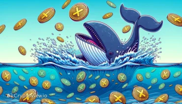 Hebben XRP Walvissen Zojuist de Shorts Vernietigd?