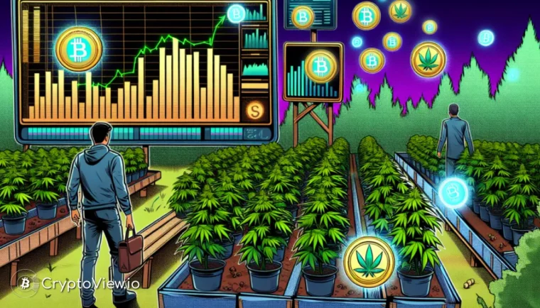 Is het Solana Wiet Kweekspel "Addicted" een Duurzame Gok?