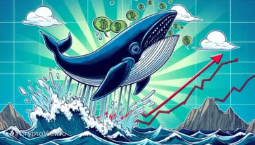 WhiteWhale 是准备再次上涨还是更深下跌？