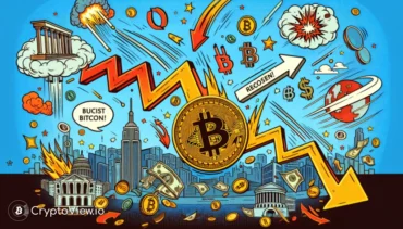 Vad orsakade kryptovalutamarknadens fall?