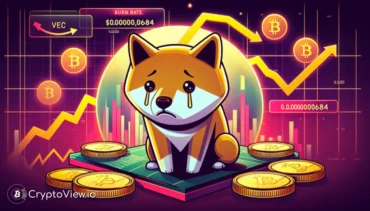 Сможет ли Shiba Inu компенсировать недавние потери?