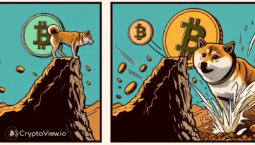 क्या शीबा इनु अपनी हालिया उछाल को बनाए रख सकता है?