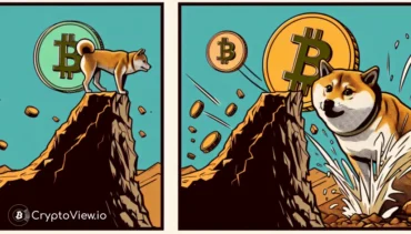 柴犬は最近のリバウンドを維持できるか？