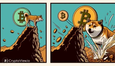 Czy Shiba Inu Utrzyma Ostatnie Odbicie?